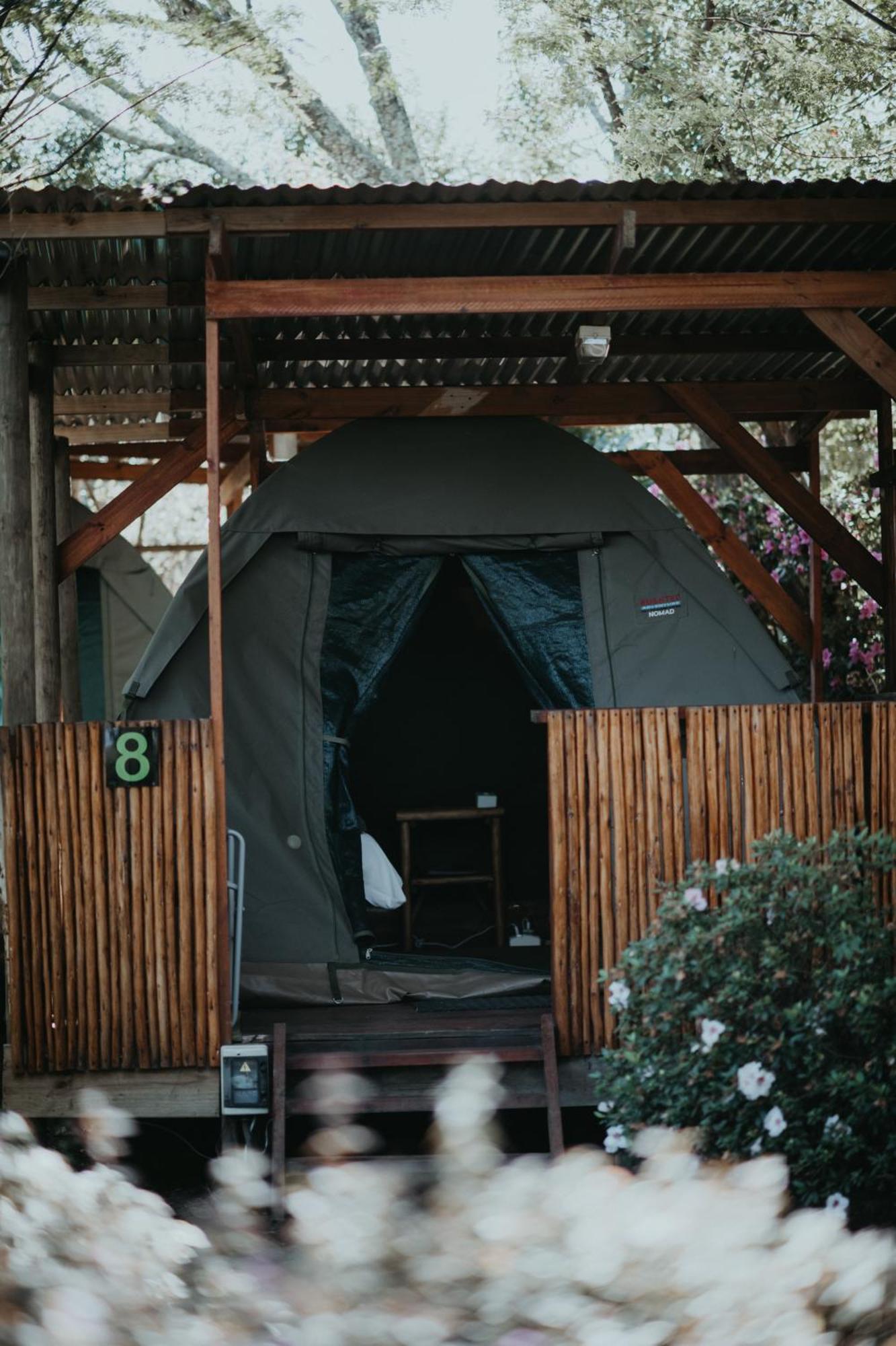 Storms River Forest Lodge Stormsrivier Kültér fotó