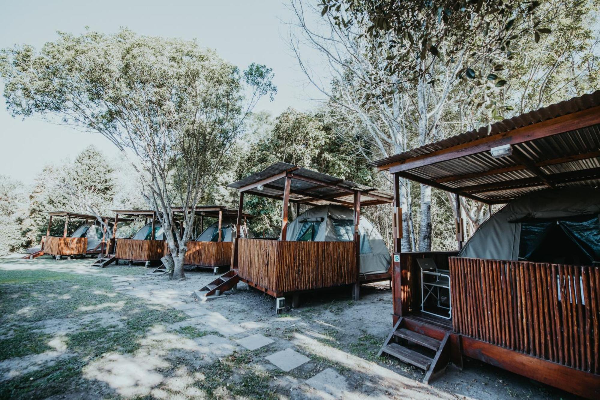 Storms River Forest Lodge Stormsrivier Kültér fotó