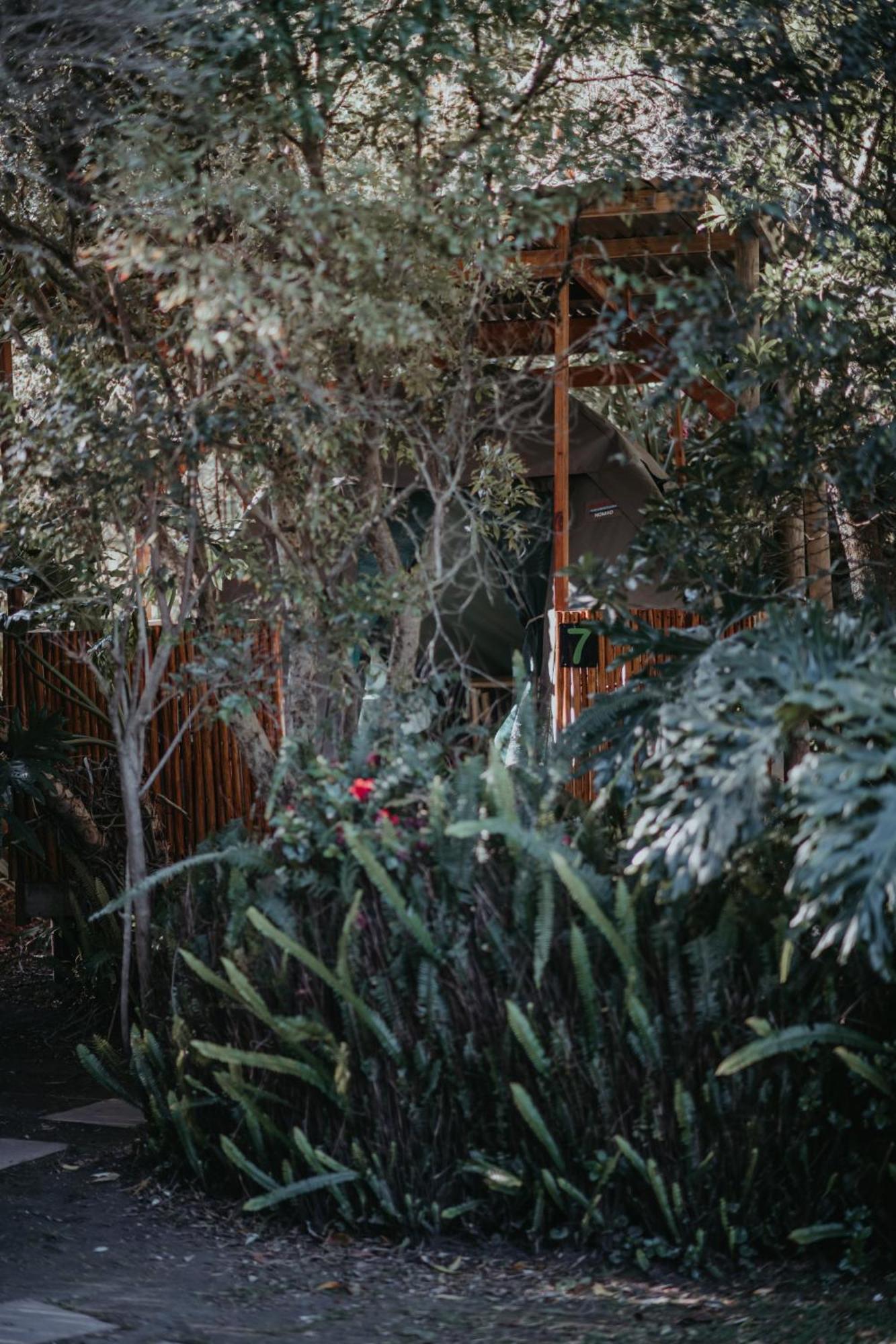 Storms River Forest Lodge Stormsrivier Kültér fotó