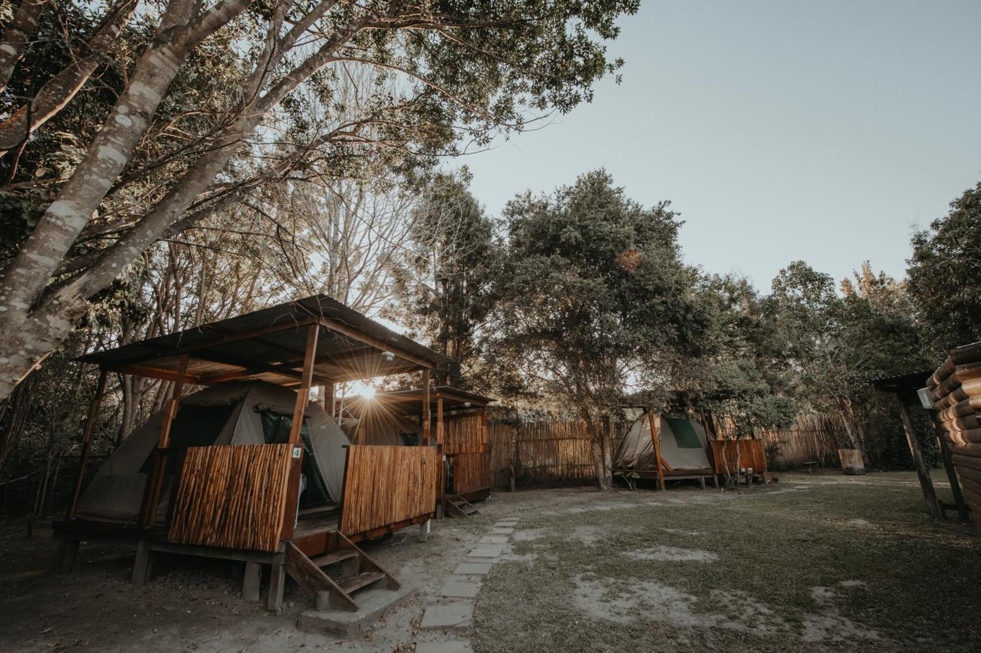 Storms River Forest Lodge Stormsrivier Kültér fotó